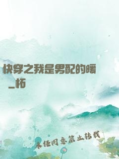 快穿之我是男配的暖寶寶