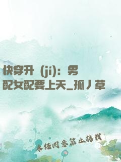 快穿升級(jí)：男配女配要上天