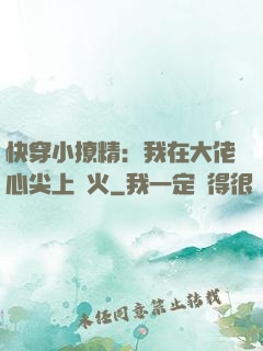 快穿小撩精：我在大佬心尖上點火