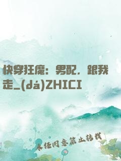 快穿狂魔：男配，跟我走