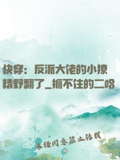快穿：反派大佬的小撩精野翻了
