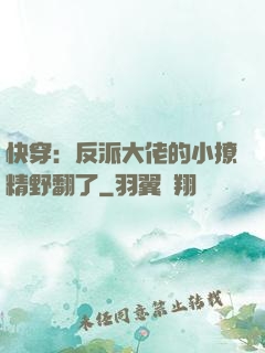 快穿：反派大佬的小撩精野翻了