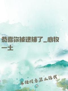 恭喜你被逮捕了