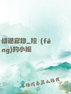 情途官路