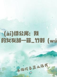 愛(ài)情公寓：我的女友胡一菲