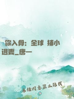 愛你入骨：全球緝捕小逃妻