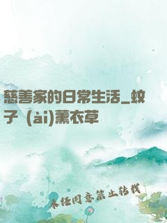 慈善家的日常生活