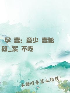 懷孕嬌妻：章少寵妻秘籍