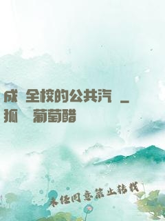 成為全校的公共汽車