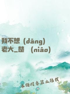 我不想當(dāng)老大