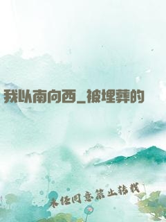 我以南向西