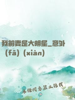 我前妻是大明星