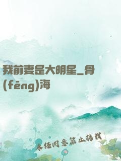 我前妻是大明星
