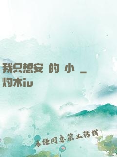我只想安靜的寫小說