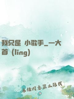 我只是個小歌手