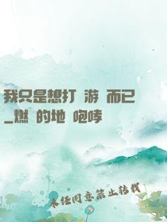 我只是想打個游戲而已