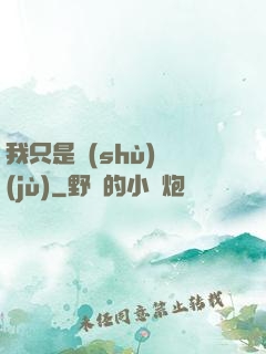 我只是數(shù)據(jù)