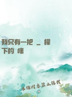 我只有一把槍