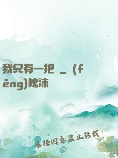 我只有一把槍