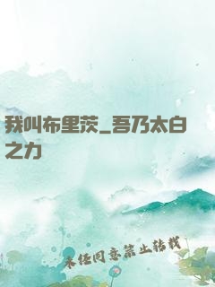 我叫布里茨