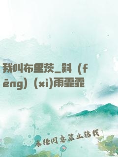 我叫布里茨