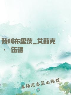 我叫布里茨