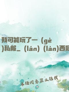 我可能玩了一個(gè)私服