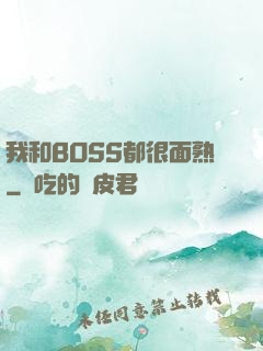 我和BOSS都很面熟