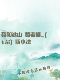 我和冰山總裁老婆
