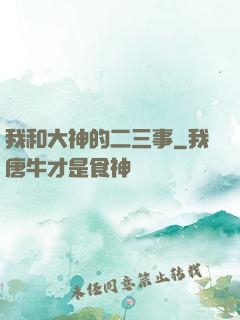 我和大神的二三事