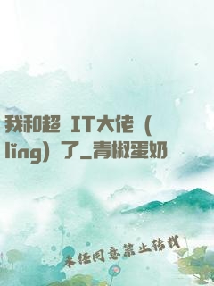我和超級IT大佬領(lǐng)證了