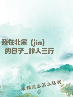 我在北宋進(jìn)貨的日子