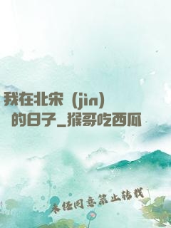 我在北宋進(jìn)貨的日子