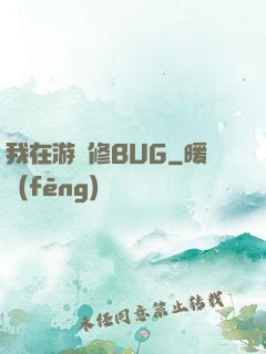 我在游戲修BUG