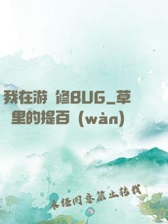 我在游戲修BUG