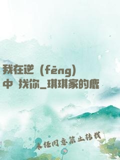 我在逆風(fēng)中尋找你