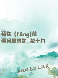 我在風(fēng)花雪月里等你