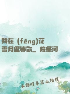 我在風(fēng)花雪月里等你