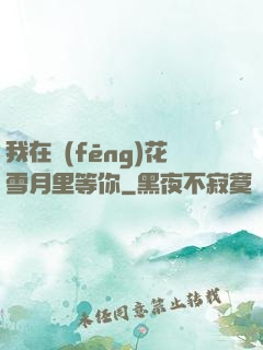 我在風(fēng)花雪月里等你