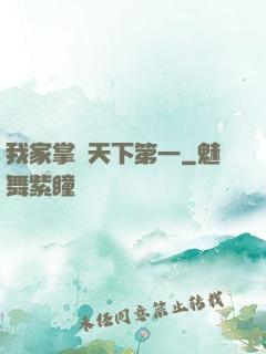 我家掌門天下第一