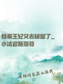 我家王妃又去破案了