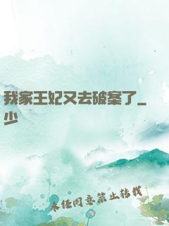我家王妃又去破案了