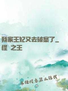 我家王妃又去破案了