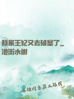 我家王妃又去破案了