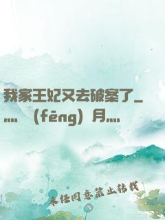 我家王妃又去破案了