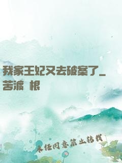 我家王妃又去破案了