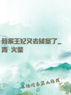 我家王妃又去破案了