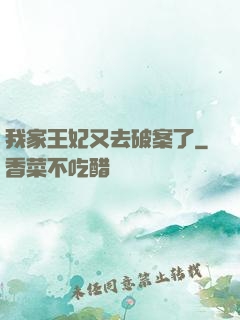 我家王妃又去破案了