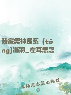 我家男神是系統(tǒng)漏洞