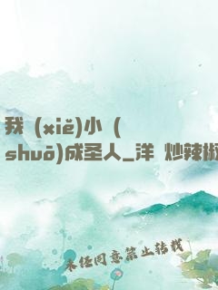 我寫(xiě)小說(shuō)成圣人